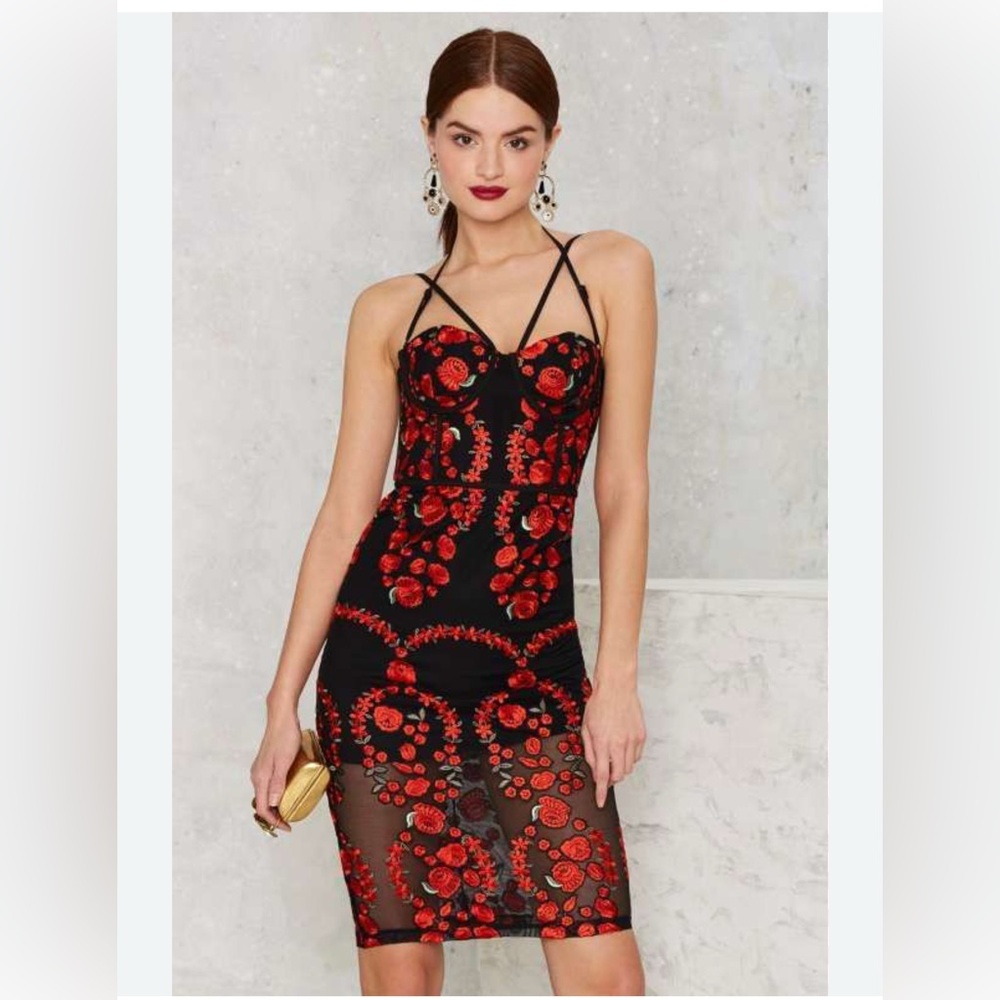 Nasty Gal  red embroydery midi dress